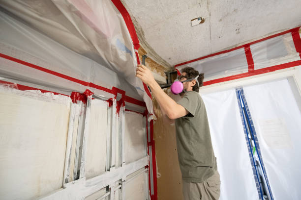 Best Crawl Space Mold Remediation  in Brighton, AL