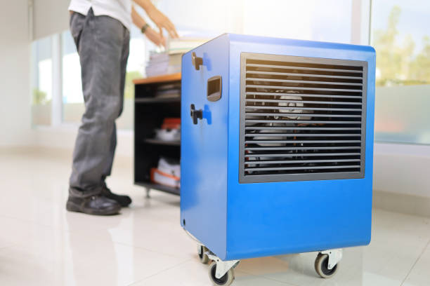 Mold Odor Removal Services in Brighton, AL