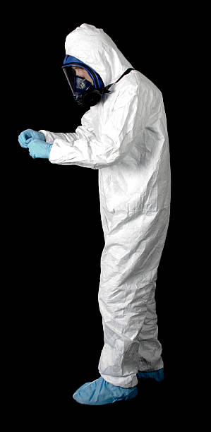 Best Water Damage & Mold Remediation  in Brighton, AL